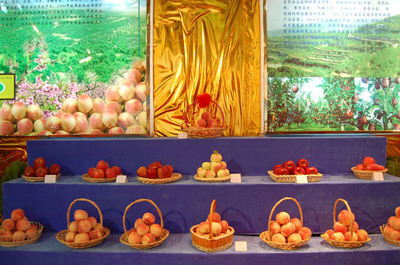 写在2010中国天水·秦安果品博览会之际(三)--天水在线