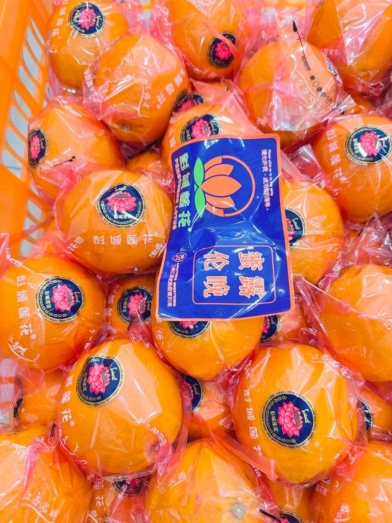 果歌果品今日上新：品味新鲜，健康生活