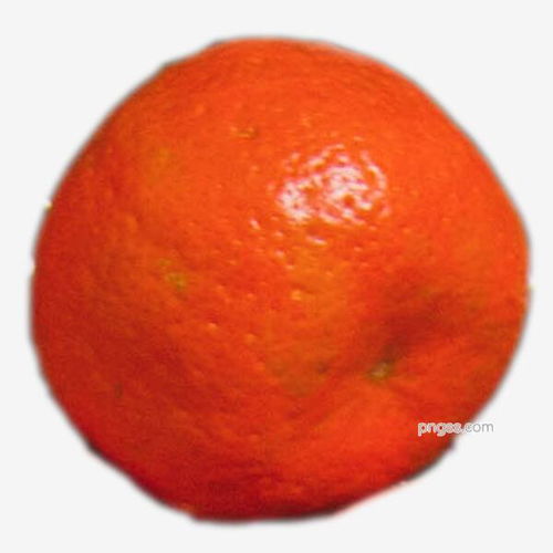 高品质圆形黄色橘子PNG素材 满足餐饮美食设计需求