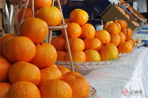 甜蜜生活在宾川 多样葡萄，助您轻松实现水果自由