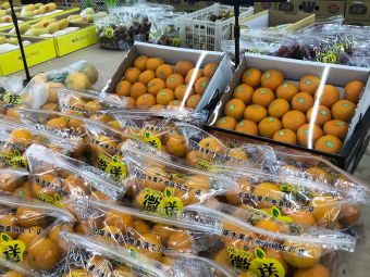 微送鲜果果品批发行——如皋连锁服务网络一览